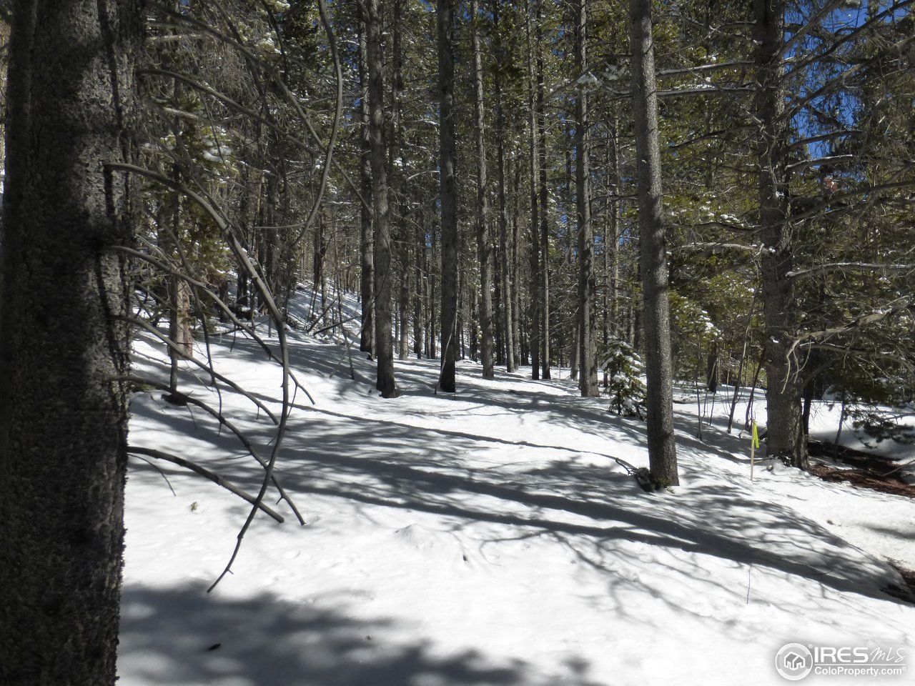 935 Rainbow Road Idaho Springs, CO 80452 - Photo 15 of 25 Gallery Image 15