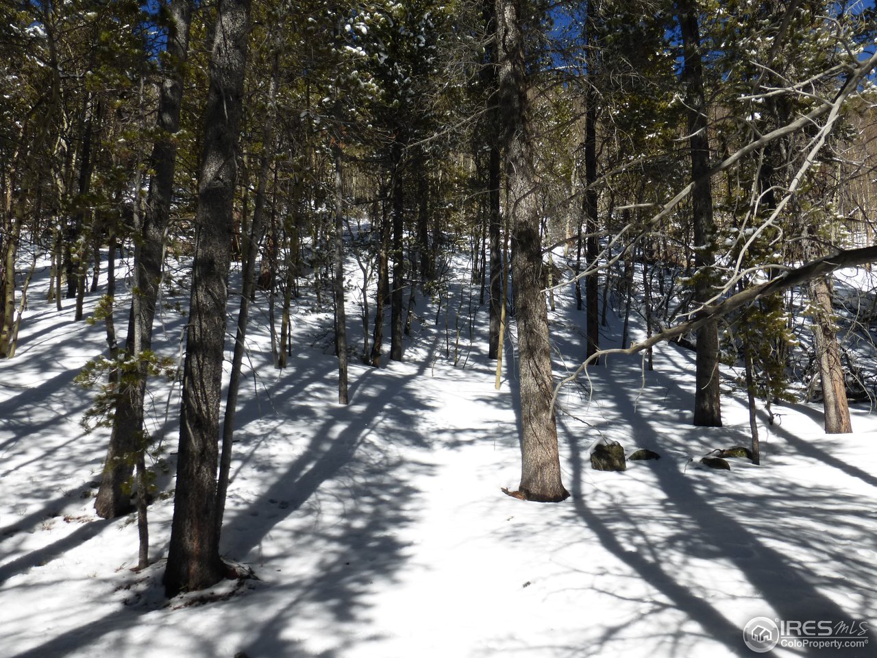 935 Rainbow Road Idaho Springs, CO 80452 - Photo 18 of 25 Gallery Image 18