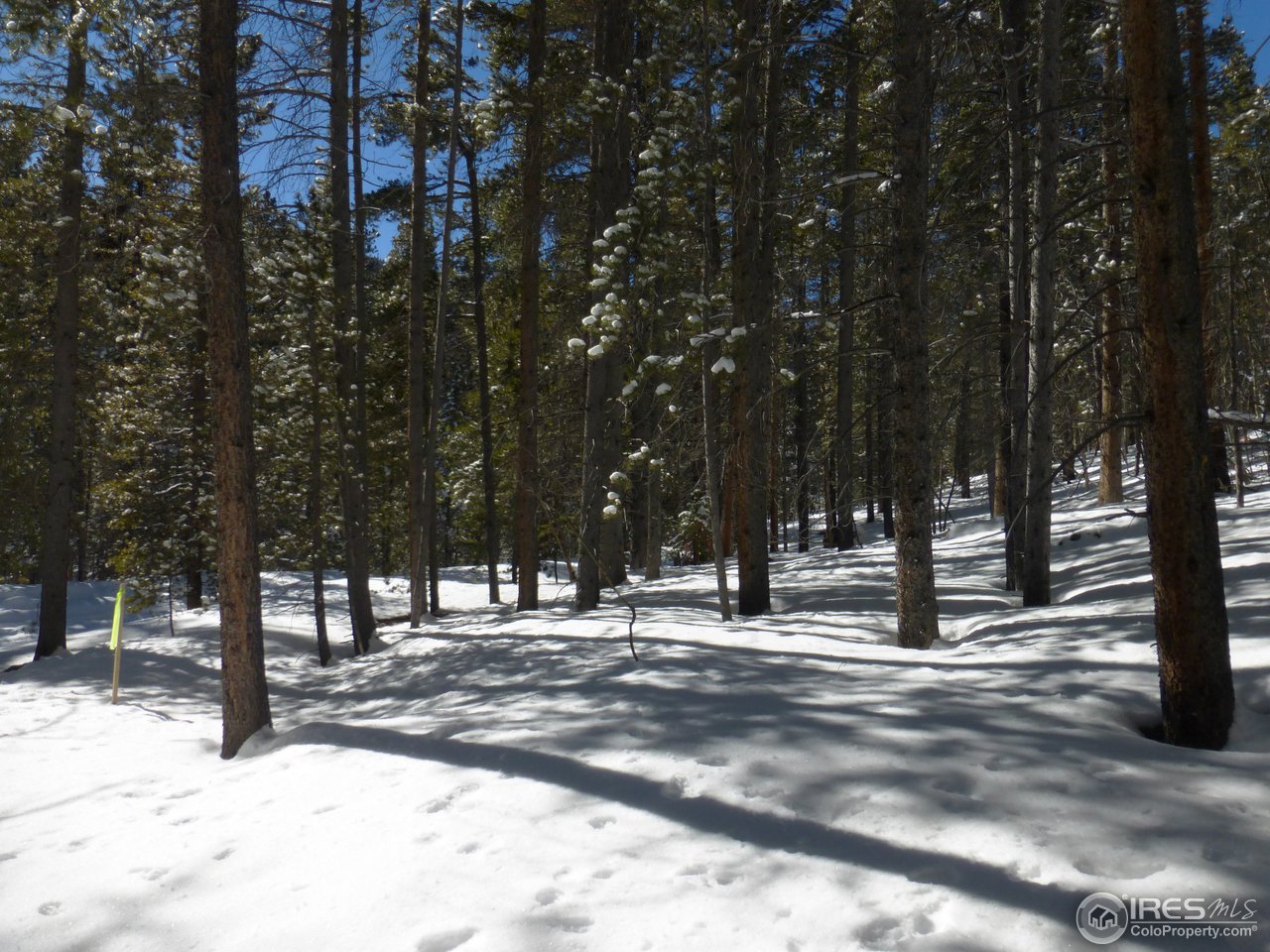935 Rainbow Road Idaho Springs, CO 80452 - Photo 20 of 25 Gallery Image 20