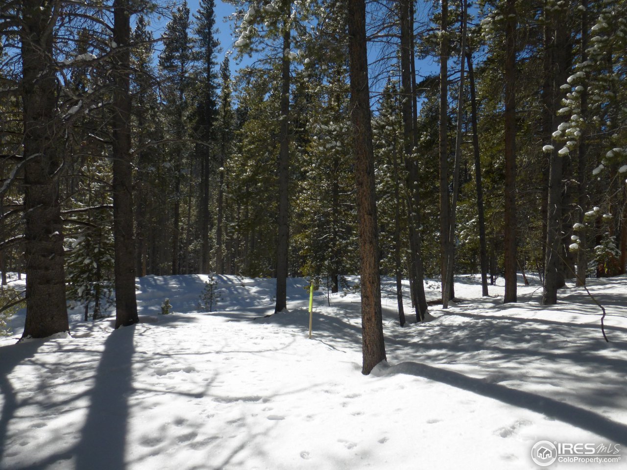 935 Rainbow Road Idaho Springs, CO 80452 - Photo 21 of 25 Gallery Image 21