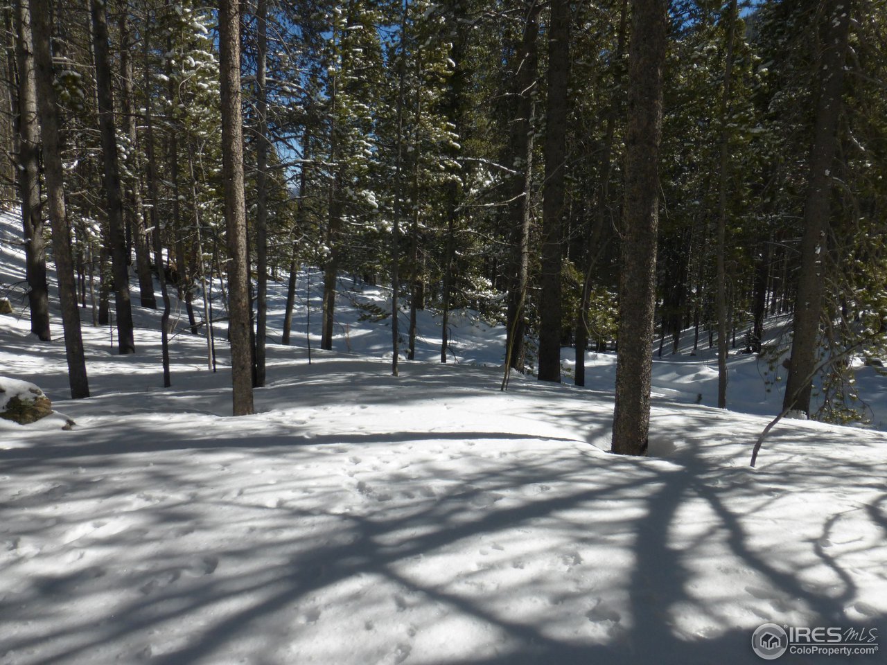 935 Rainbow Road Idaho Springs, CO 80452 - Photo 22 of 25 Gallery Image 22