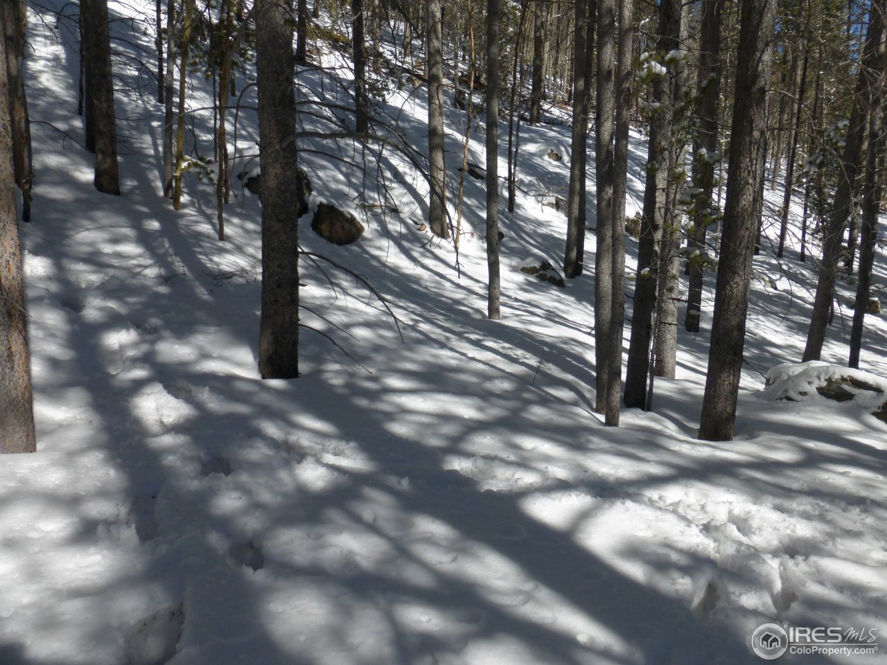 935 Rainbow Road Idaho Springs, CO 80452 - Photo 23 of 25 Gallery Image 23