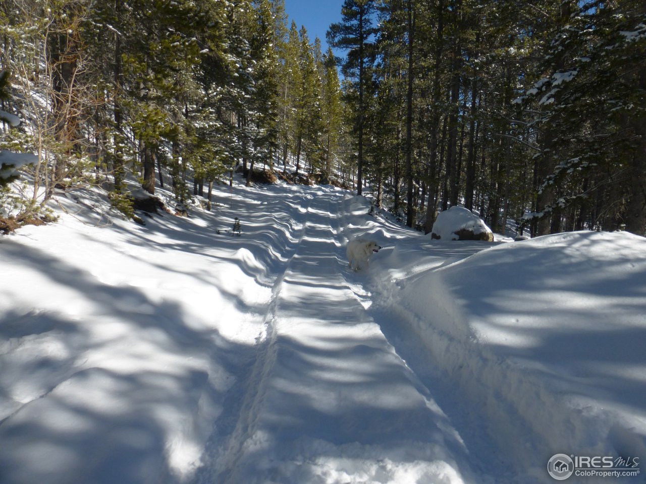 935 Rainbow Road Idaho Springs, CO 80452 - Photo 24 of 25 Gallery Image 24