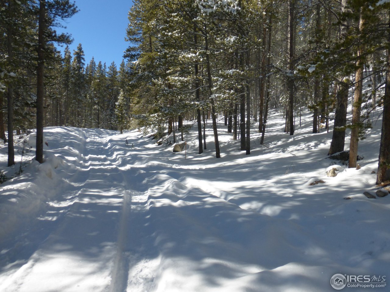 935 Rainbow Road Idaho Springs, CO 80452 - Photo 25 of 25 Gallery Image 25