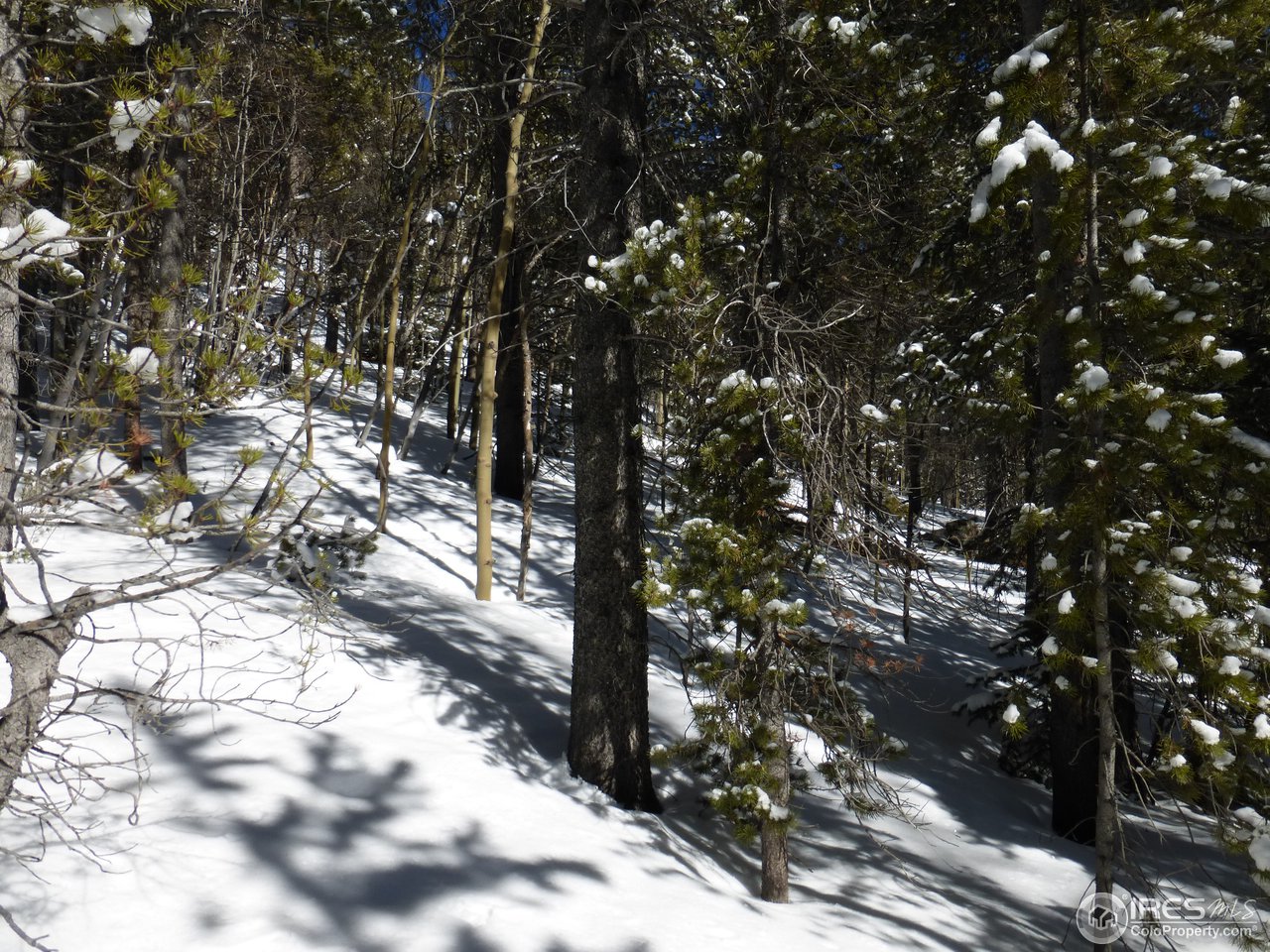 935 Rainbow Road Idaho Springs, CO 80452 - Photo 4 of 25 Gallery Image 4