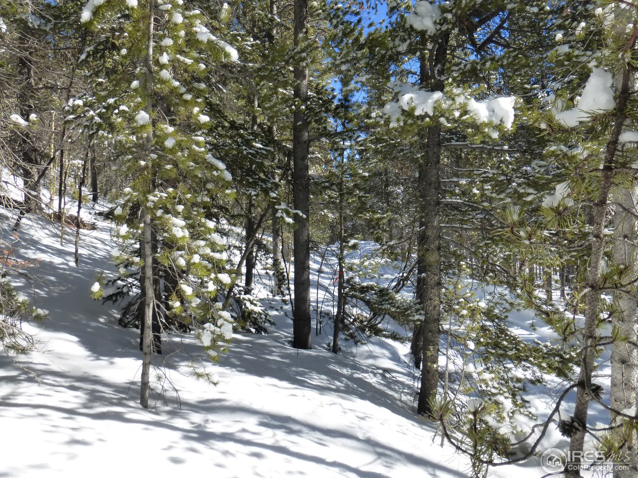 935 Rainbow Road Idaho Springs, CO 80452 - Photo 5 of 25 Gallery Image 5