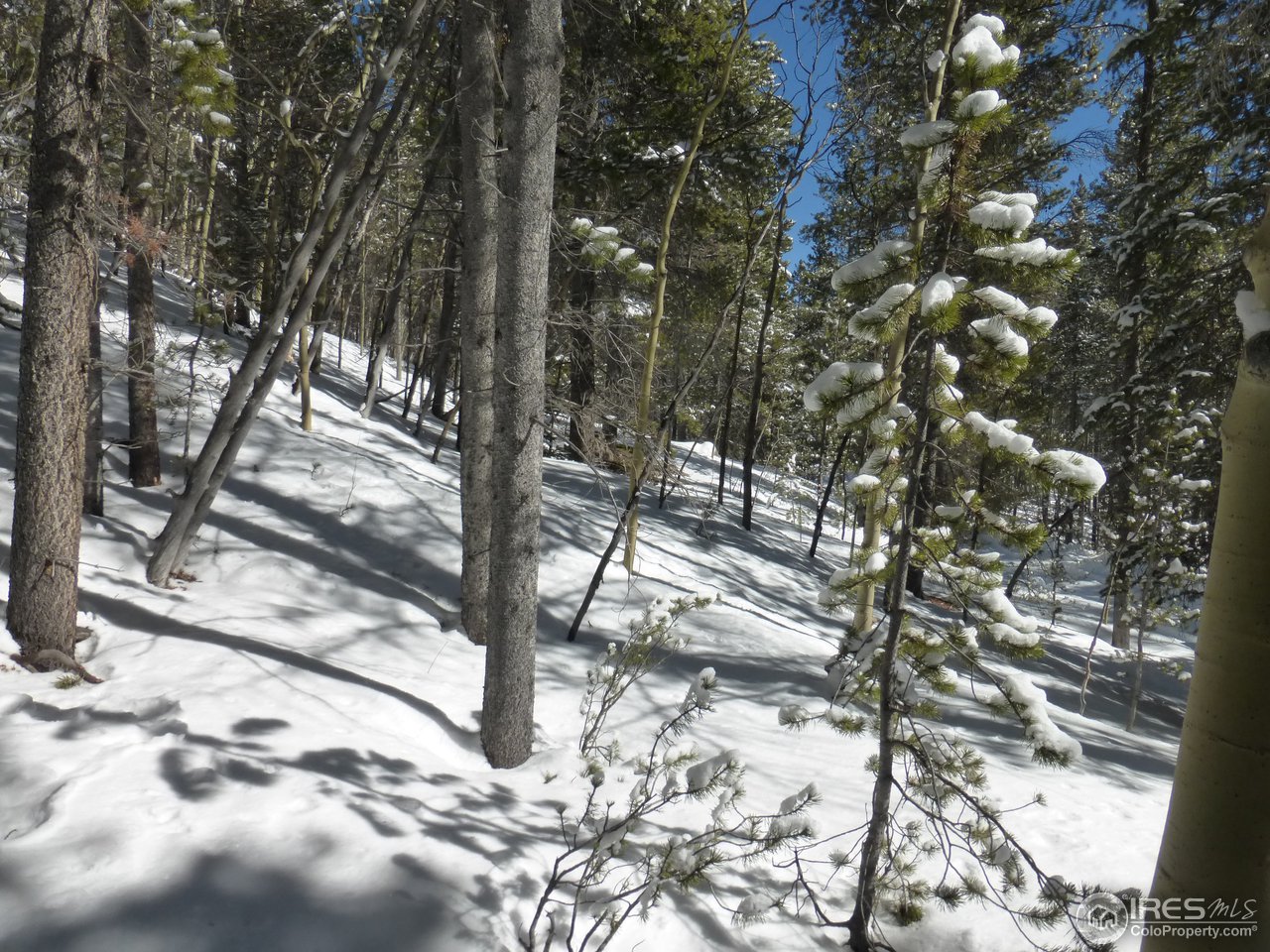 935 Rainbow Road Idaho Springs, CO 80452 - Photo 6 of 25 Gallery Image 6