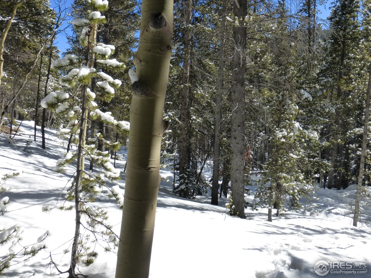 935 Rainbow Road Idaho Springs, CO 80452 - Photo 7 of 25 Gallery Image 7