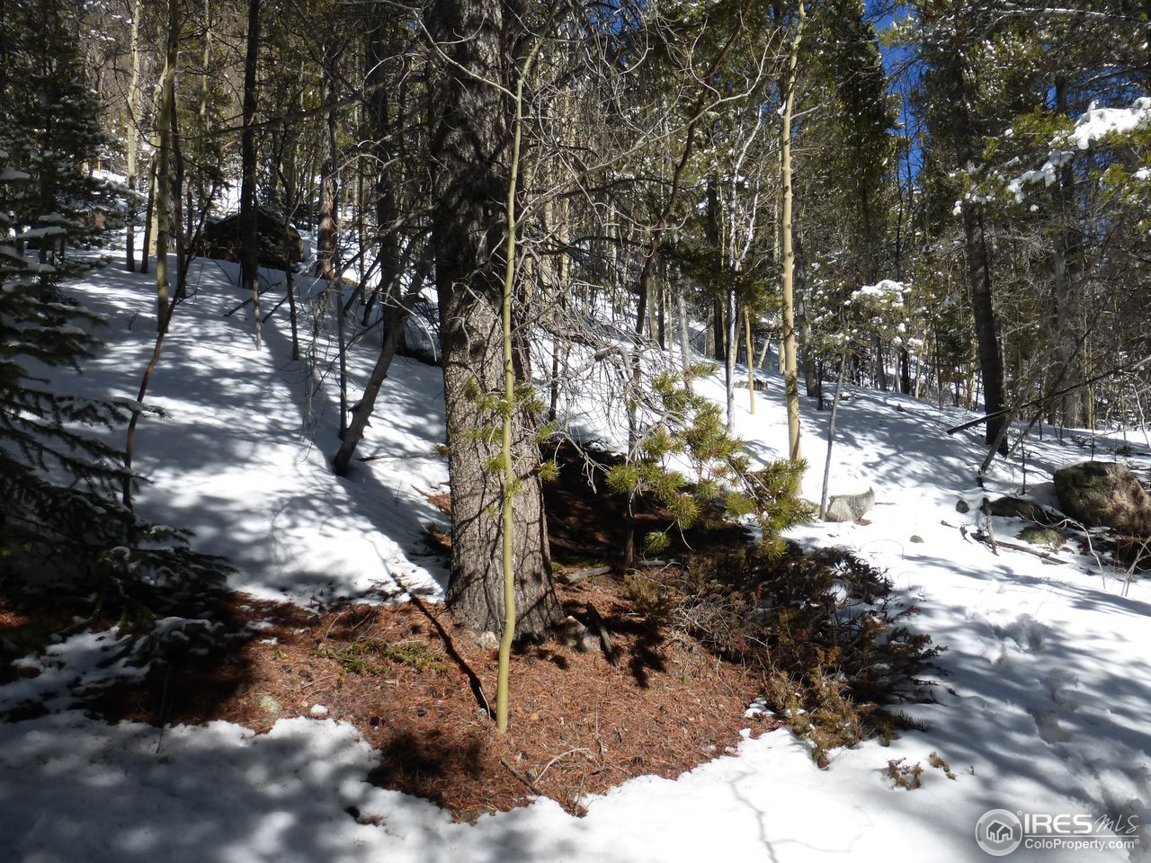 935 Rainbow Road Idaho Springs, CO 80452 - Photo 8 of 25 Gallery Image 8