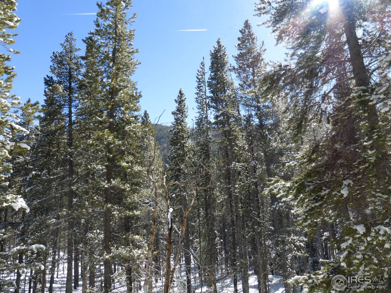935 Rainbow Road Idaho Springs, CO 80452 - Photo 9 of 25 Gallery Image 9