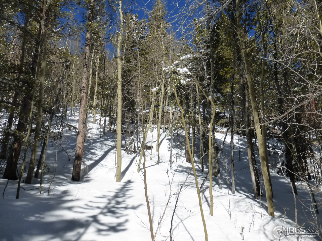 935 Rainbow Road Idaho Springs, CO 80452 - Photo 10 of 25 Gallery Image 10