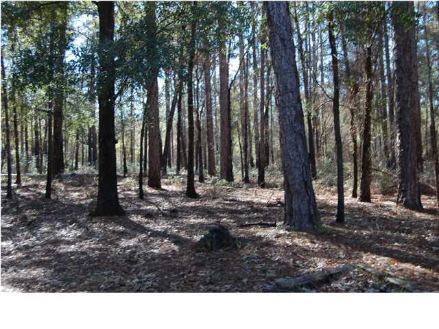 601 Fire Lane Road Holt, FL 32564 - Photo 11 of 19 Gallery Image 11