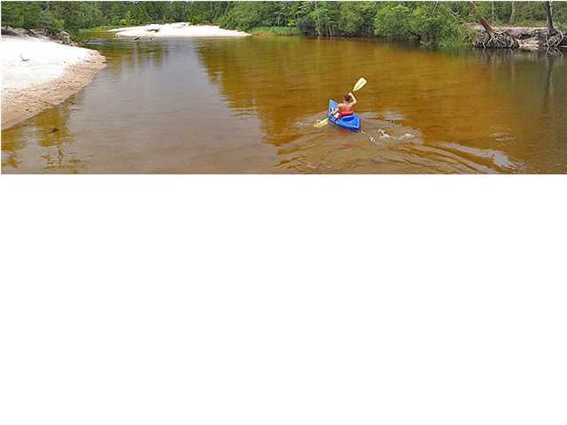 601 Fire Lane Road Holt, FL 32564 - Photo 19 of 19 Gallery Image 19