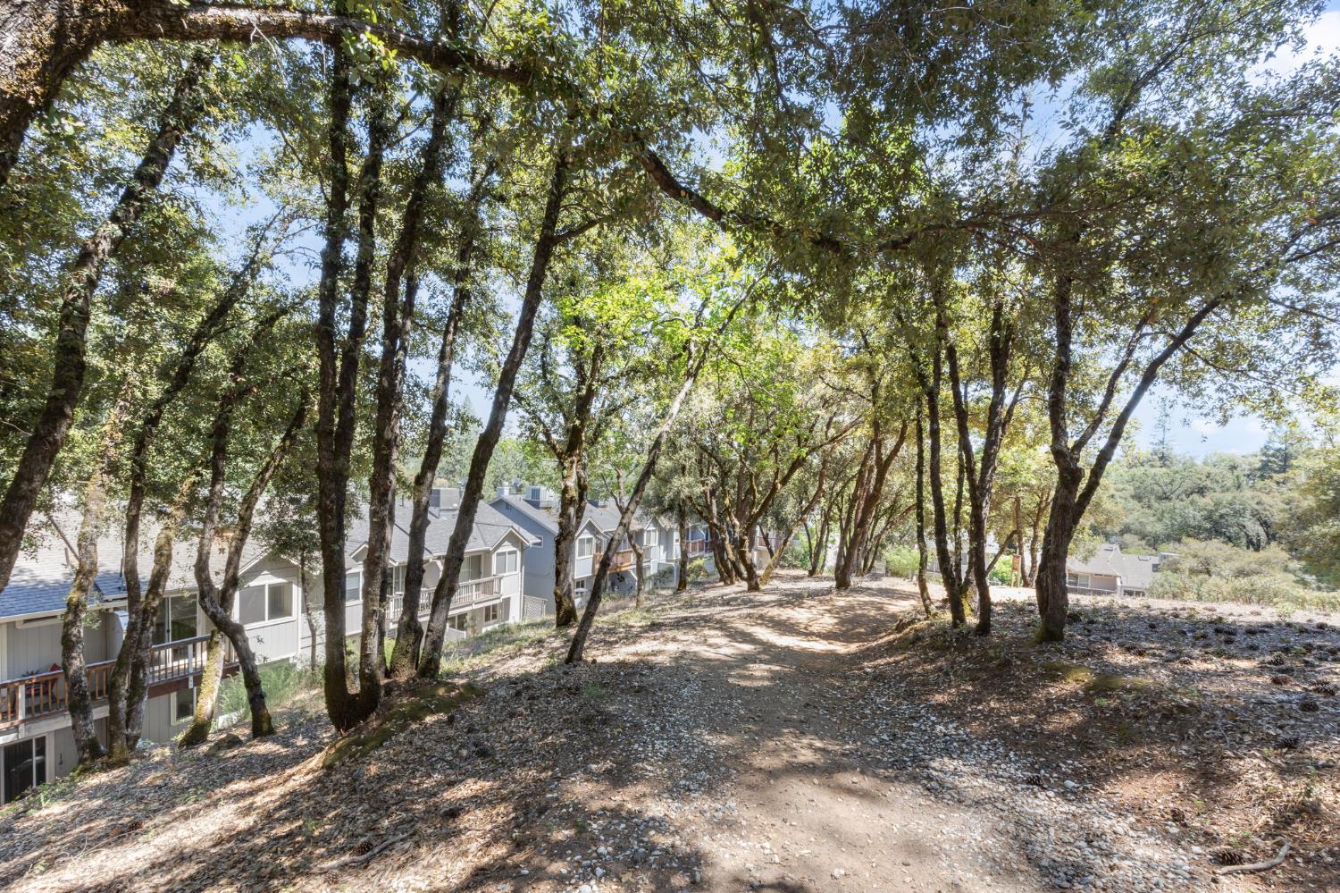 1392 Oak Ridge Drive Colfax, CA 95713 - Photo 38 of 44