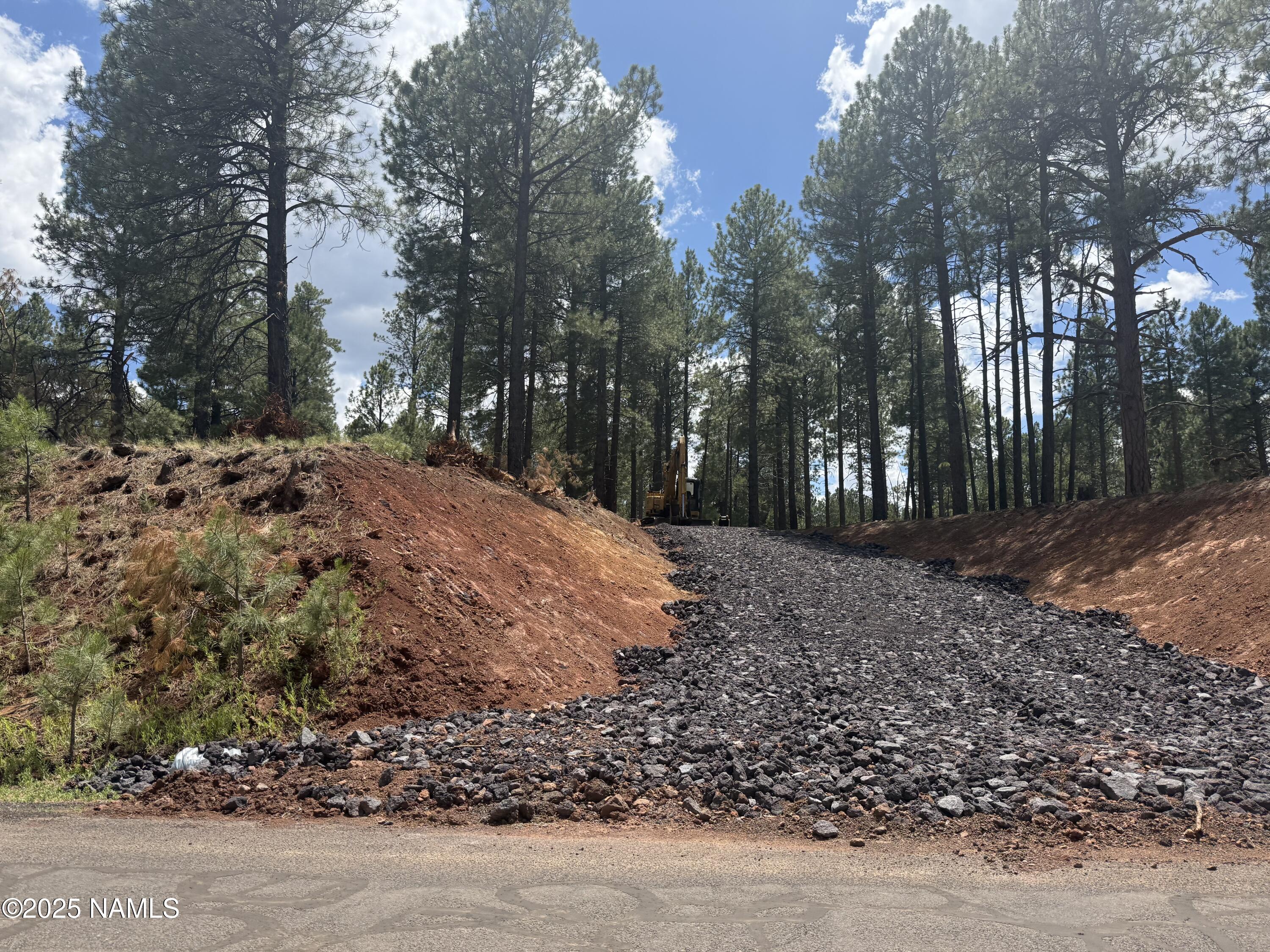 7175 West Naval Observatory Road Flagstaff, AZ 86001 - Photo 9 of 9 a view of a yard with a tree