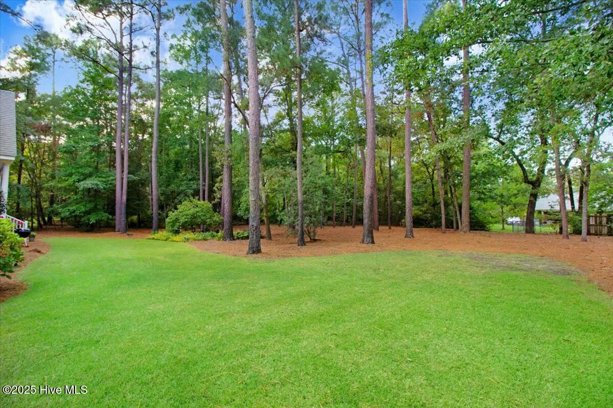 105 Dobbs Place Goldsboro, NC 27534 - Photo 28 of 39 Back Yard 1