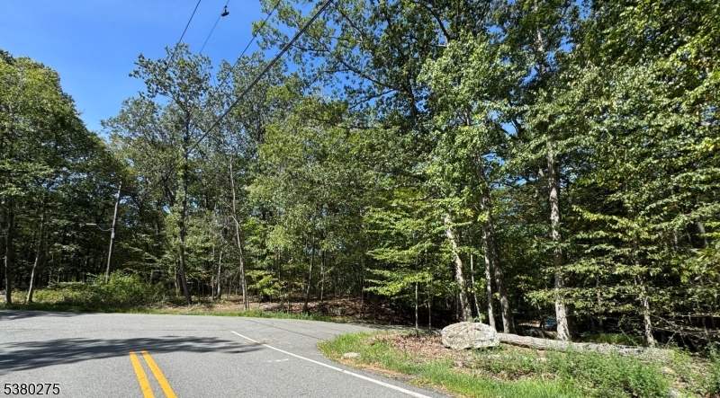 802 Brooklyn Mountain Road Hopatcong, NJ 07821 - Photo 2 of 4 a view of a yard