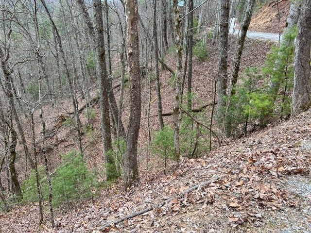 4 Sunset Road Sevierville, TN 37862 - Photo 5 of 15