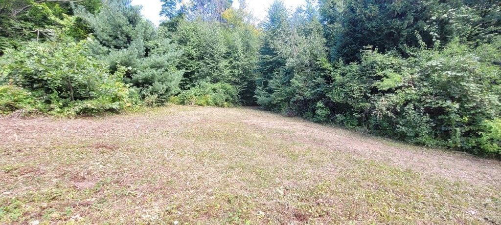 225 Gulf Road Belchertown, MA 01007 - Photo 13 of 32 a view of a yard with a tree