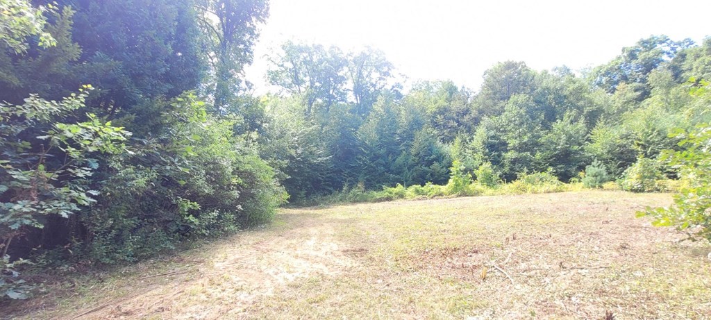 225 Gulf Road Belchertown, MA 01007 - Photo 15 of 32 a view of a yard with plants and trees