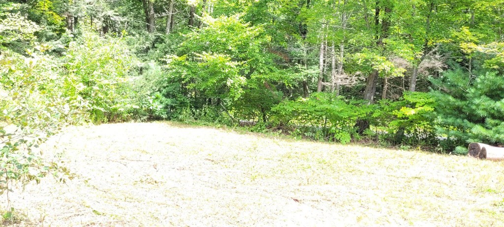225 Gulf Road Belchertown, MA 01007 - Photo 19 of 32 a view of a yard with a tree