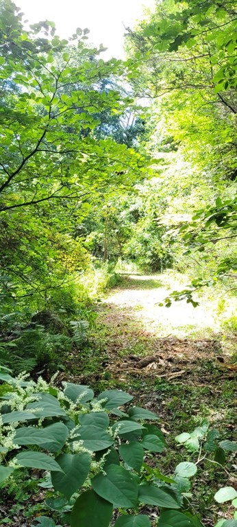 225 Gulf Road Belchertown, MA 01007 - Photo 21 of 32 a view of an ocean from a yard