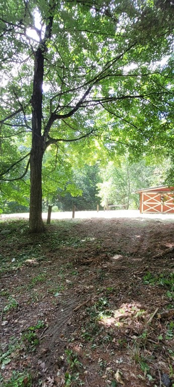 225 Gulf Road Belchertown, MA 01007 - Photo 23 of 32 a view of an trees with wooden fence