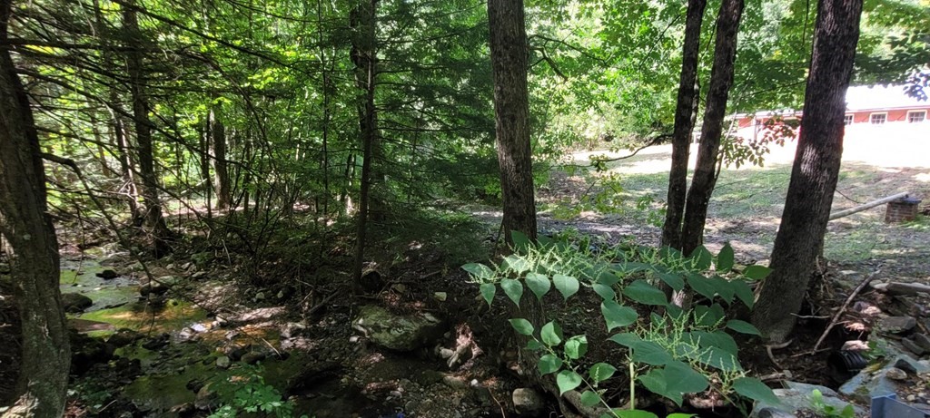 225 Gulf Road Belchertown, MA 01007 - Photo 25 of 32 a view of outdoor space and trees