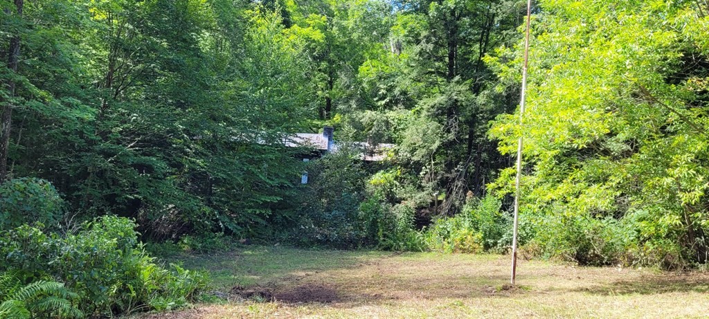 225 Gulf Road Belchertown, MA 01007 - Photo 30 of 32 a view of a yard