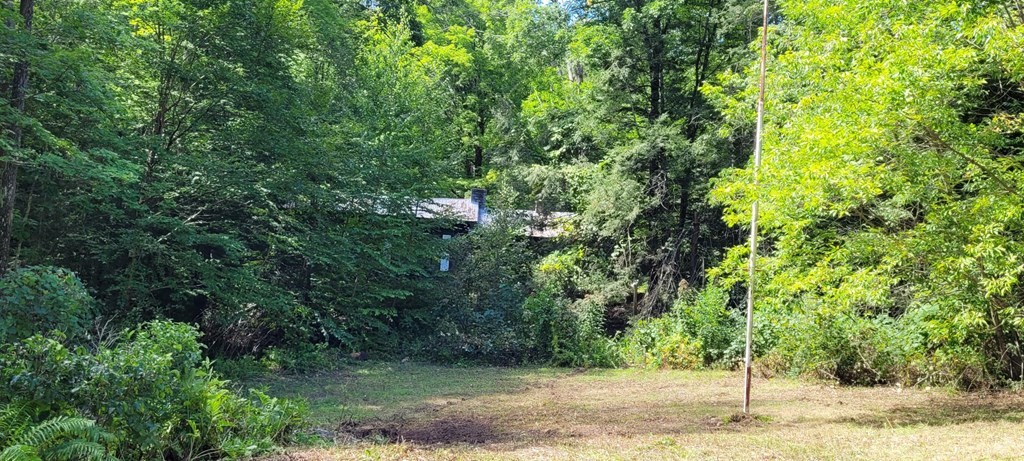225 Gulf Road Belchertown, MA 01007 - Photo 31 of 32 a view of a yard with plants and trees