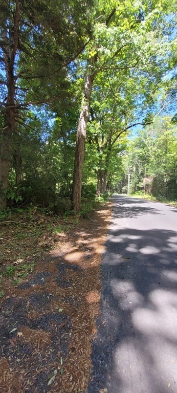 225 Gulf Road Belchertown, MA 01007 - Photo 6 of 32 a view of a yard with a tree