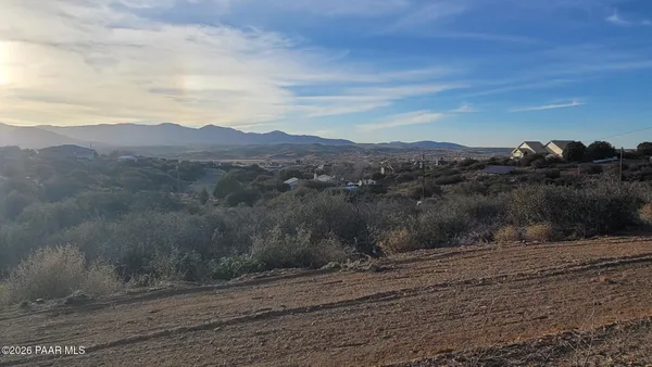 a view of a dry yard with green space