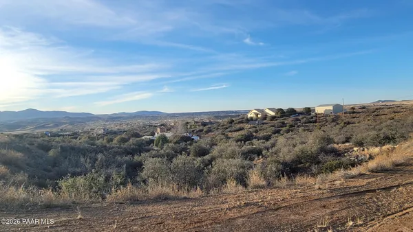 a view of a dry yard