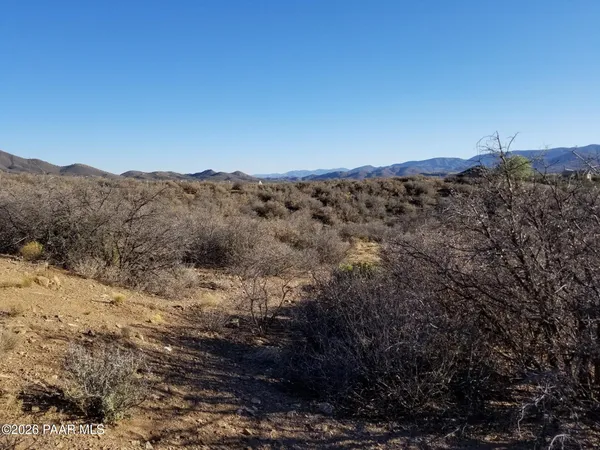 a view of a dry yard