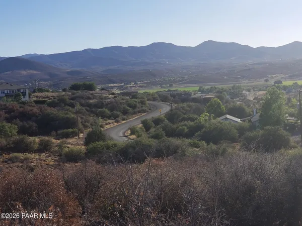 a view of a mountain with a tree in front of it