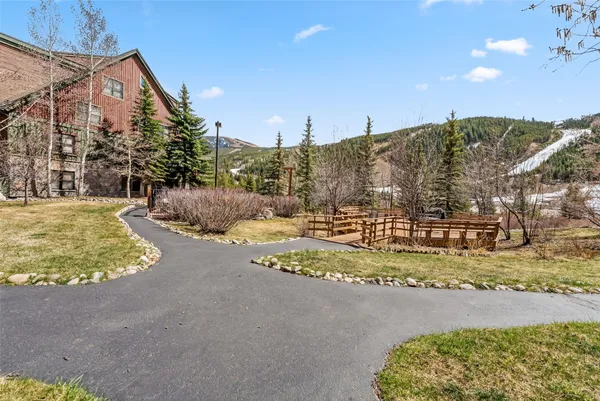 a outdoor space with lots of trees