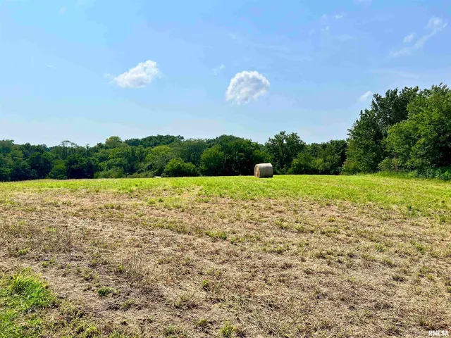 $325,000 | 18316 266th Street West, Illinois City, IL 61259