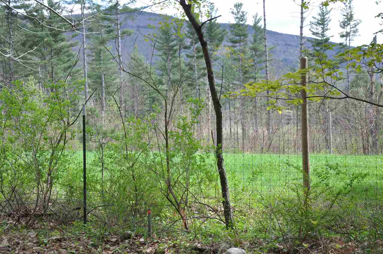 Lot C River Road Manchester Center, VT 05255 - Photo 1 of 7 Gallery Image 1