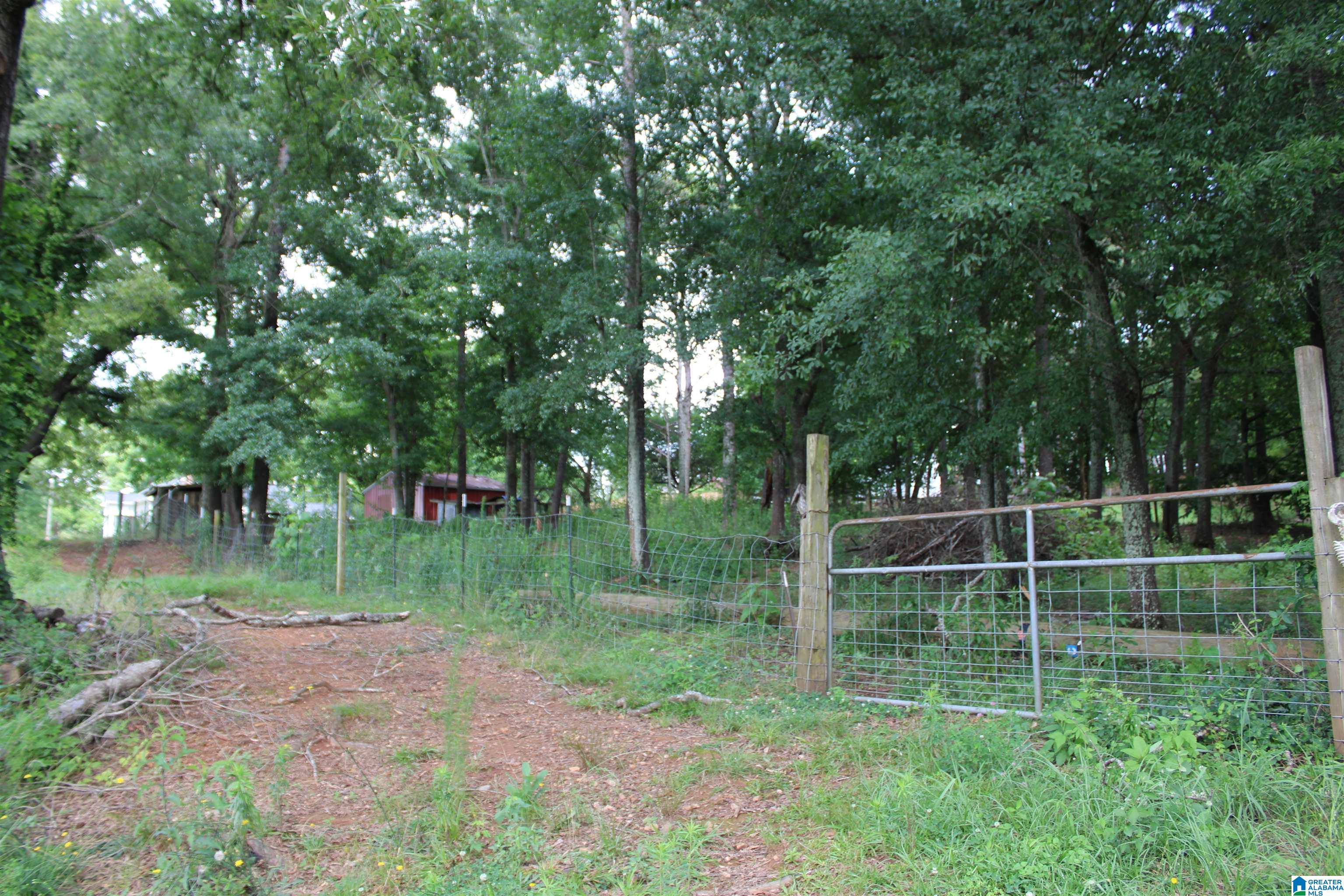 145 Rabbit Branch Road Cropwell, AL 35054 - Photo 6 of 43