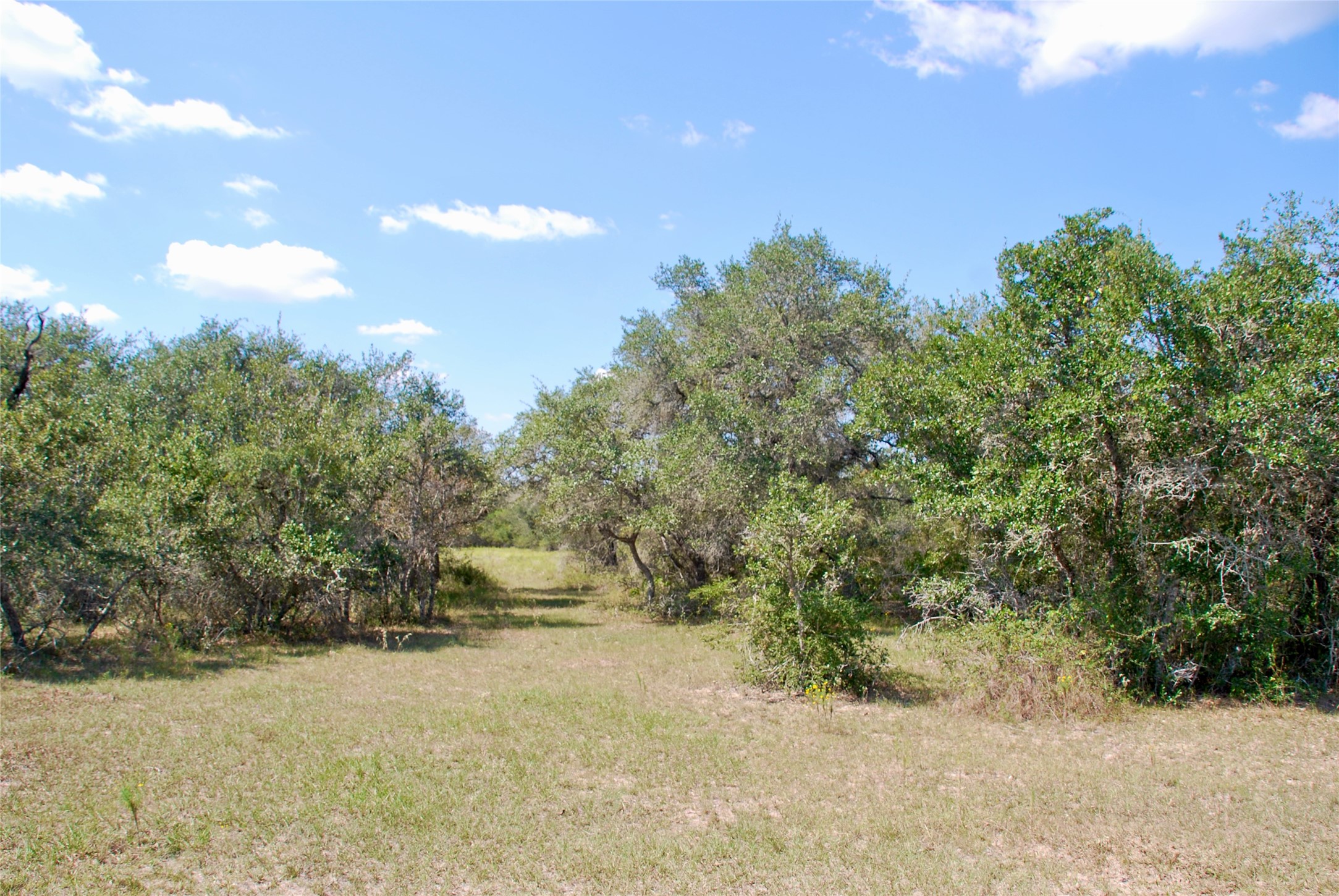3033 County Road 18 Hallettsville, TX 77964 - Photo 48 of 50