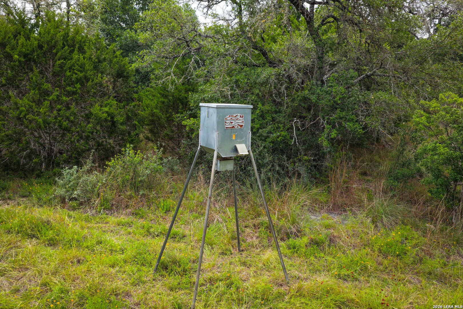 30 Acres /- Peaceful Valley Road Bandera, TX 78003 - Photo 11 of 32