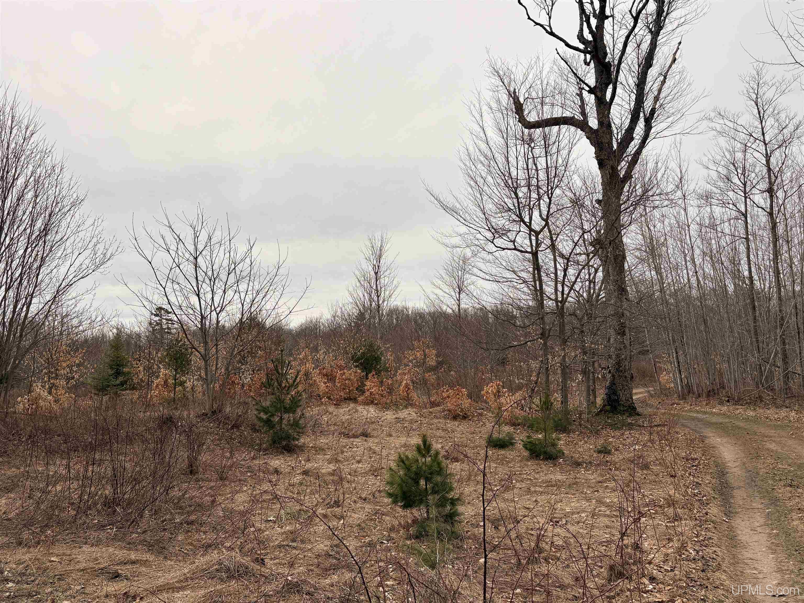 Tbd Tbd County Road Rapid River, MI 49878 - Photo 1 of 11