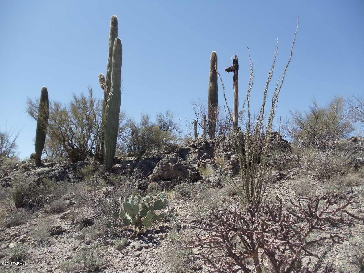 15115 East Rincon Creek Ranch Tucson, AZ 85747 - Photo 6 of 23 Gallery Image 6