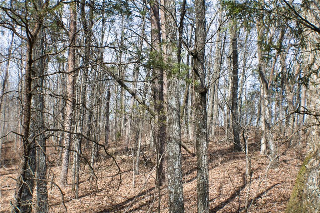 0 157th Highway Rising Fawn, GA 30738 - Photo 9 of 19