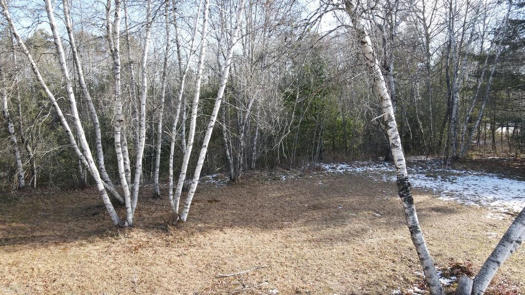 2427 Bennoch Road Old Town, ME 04468 - Photo 17 of 18 Pic 17 (Copy)
