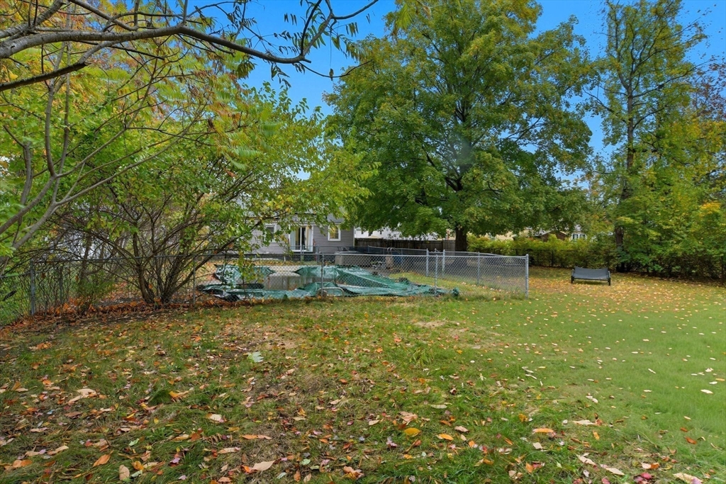 150 Drexel Street Springfield, MA 01104 - Photo 27 of 27 a view of a yard with a tree