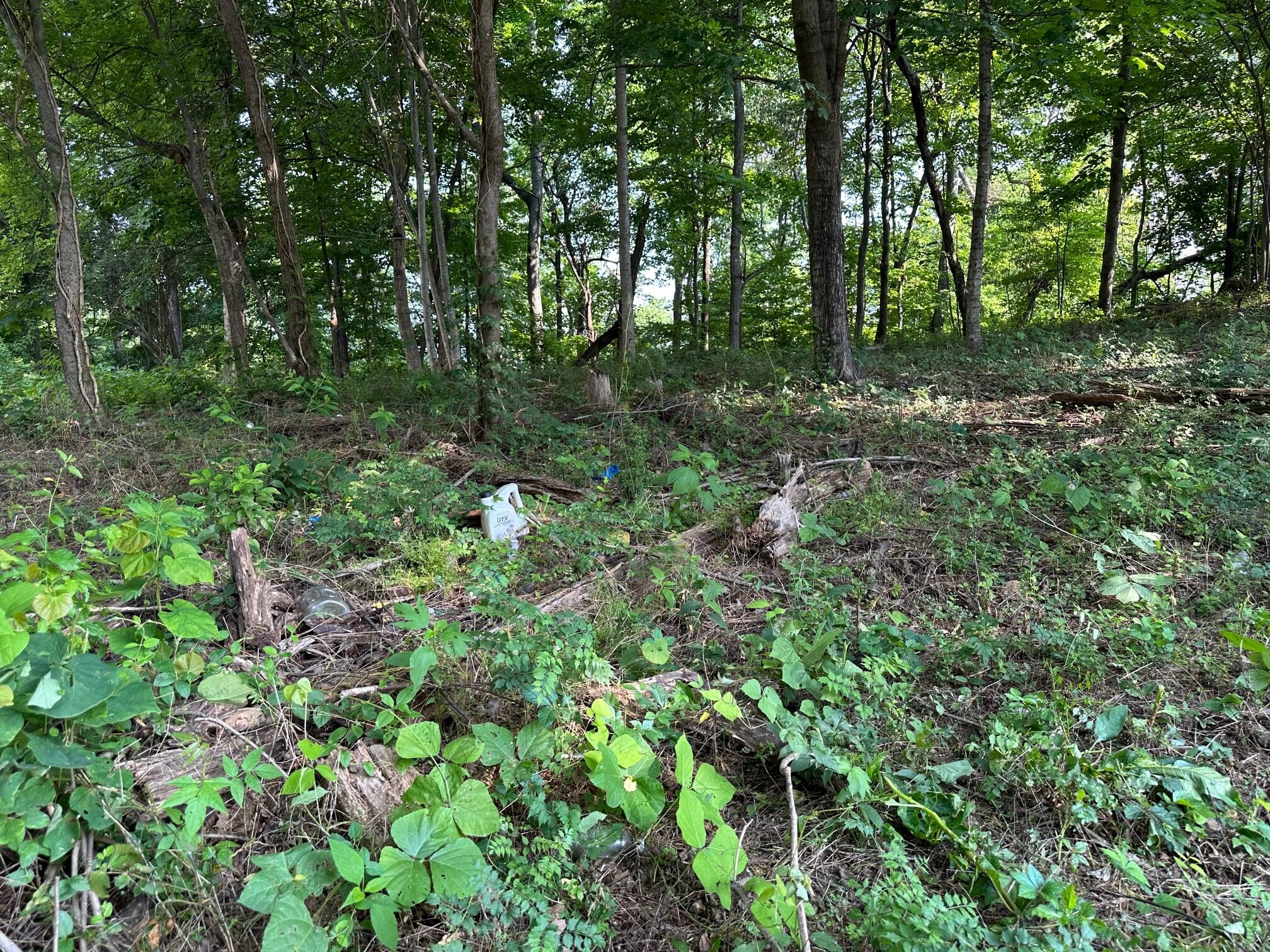 0 Black Oak Estates Road Dayton, TN 37321 - Photo 3 of 6 Gallery Image 3
