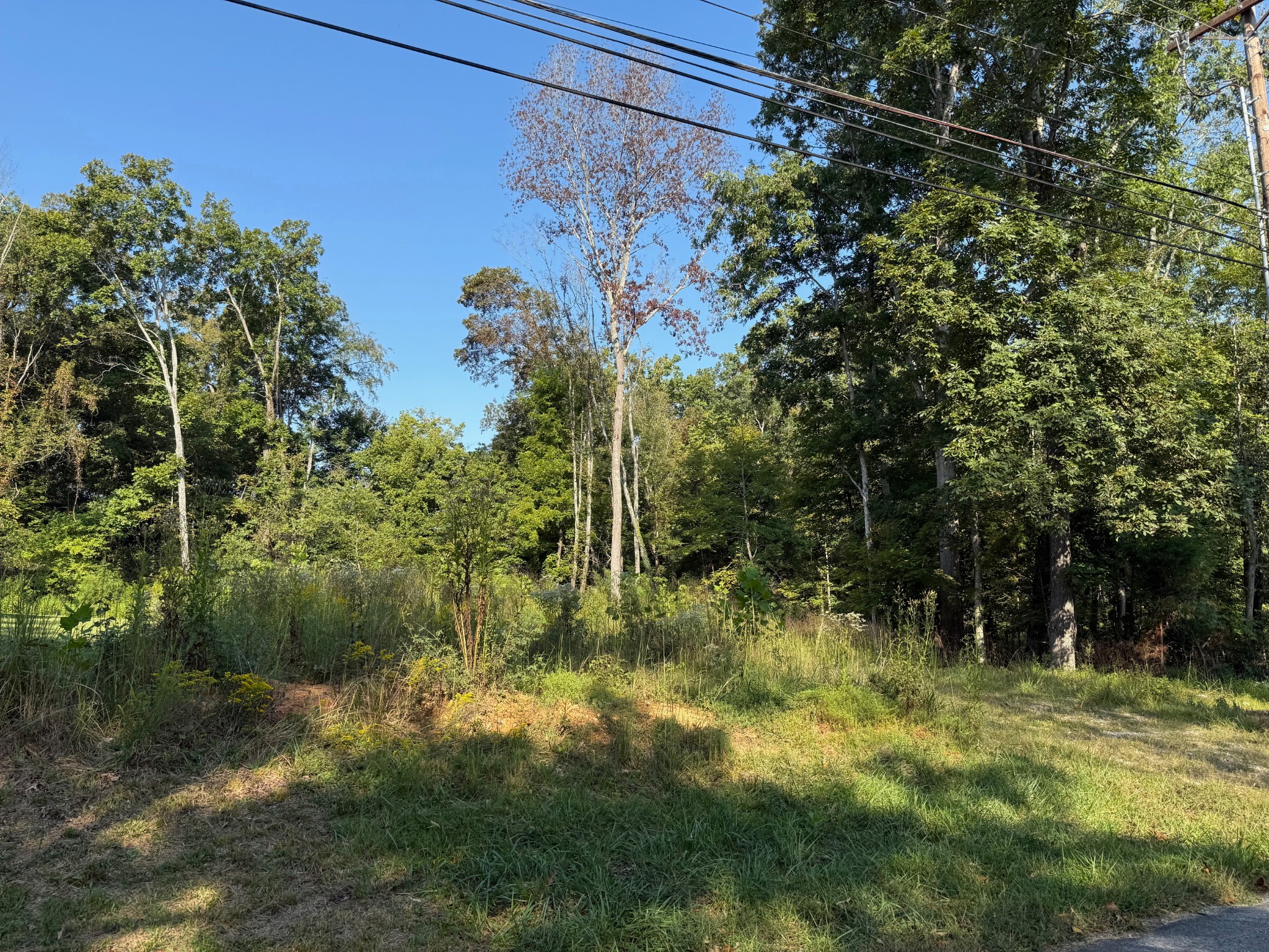 0 Ovoca Road Tullahoma, TN 37388 - Photo 1 of 6