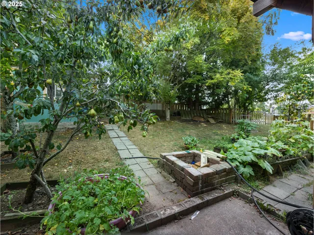 a garden view with a bench