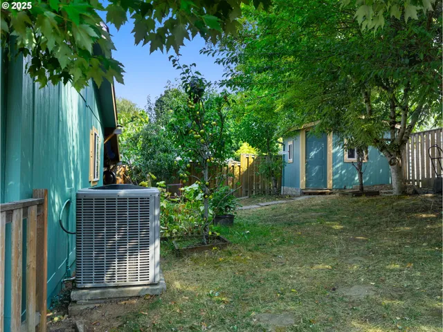 a view of a backyard with plants and large trees